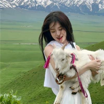 大侠霍元甲国语